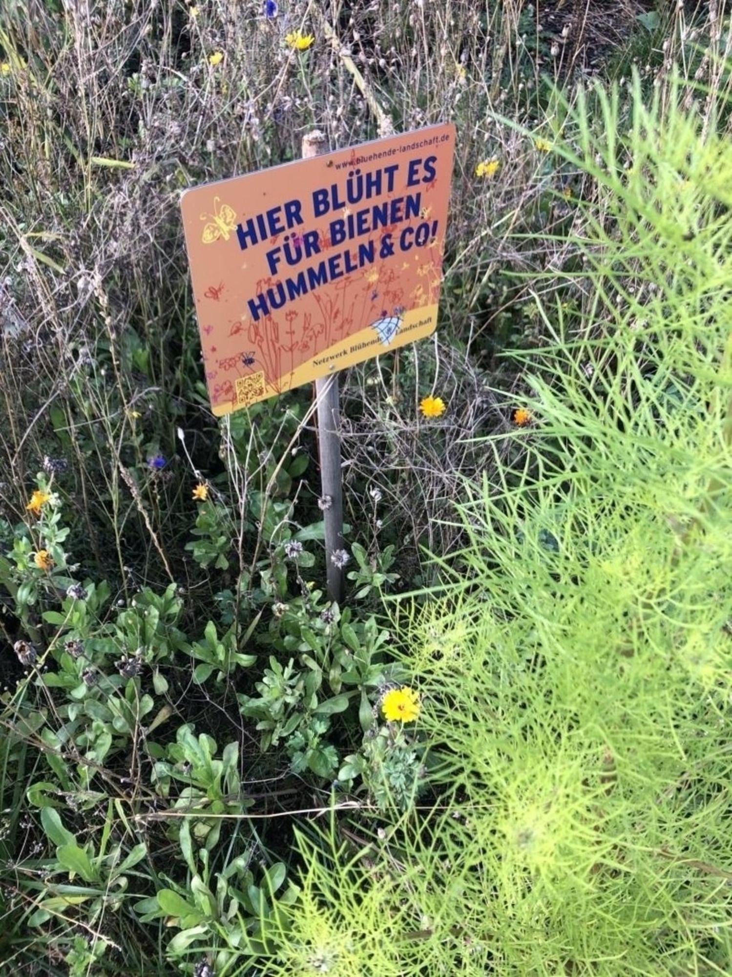 Meeresperle 4 Klutz Buitenkant foto